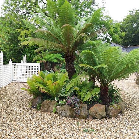 Pleasant Streams Barn Bed & Breakfast St Austell Luaran gambar