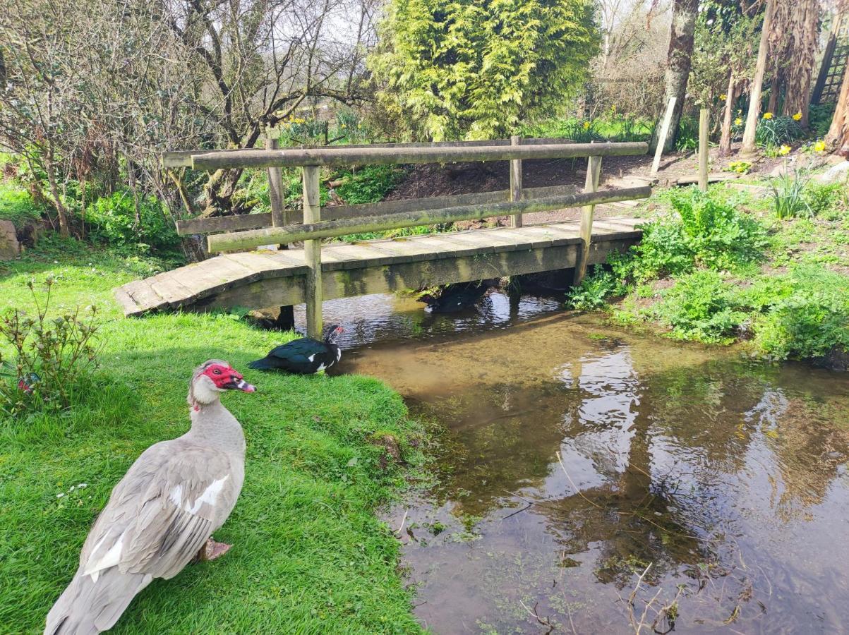 Pleasant Streams Barn Bed & Breakfast St Austell Luaran gambar